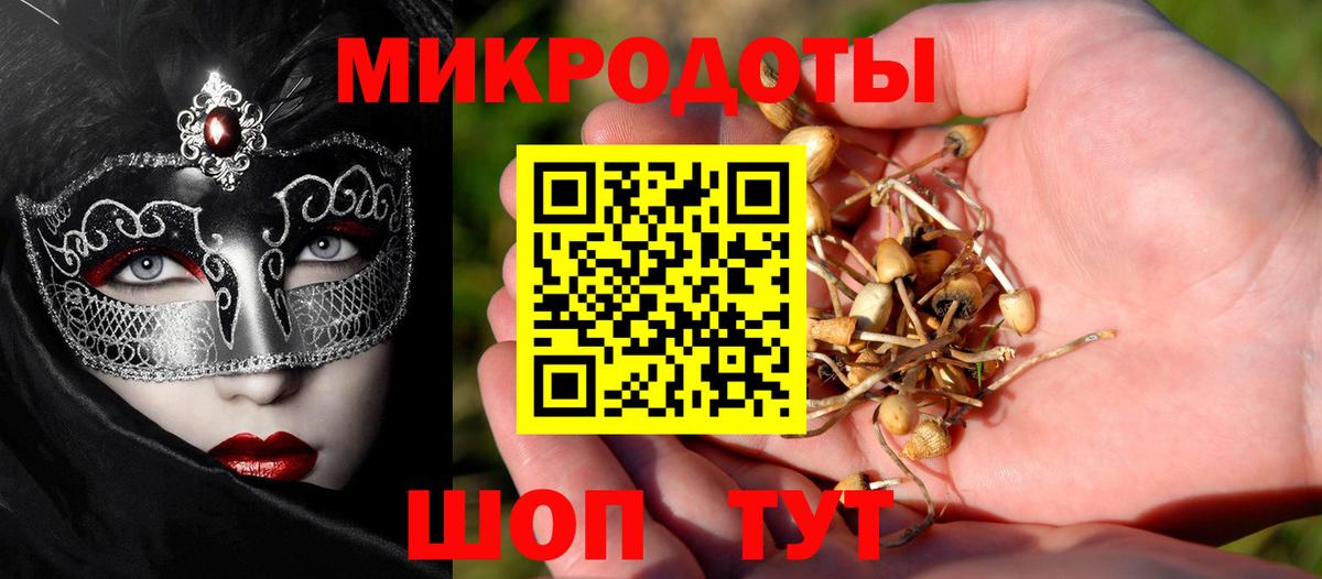 Галлюциногенные грибы GOLDEN TEACHER Надым